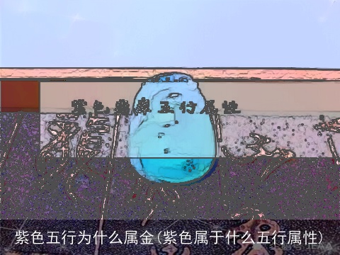 紫色五行为什么属金(紫色属于什么五行属性)