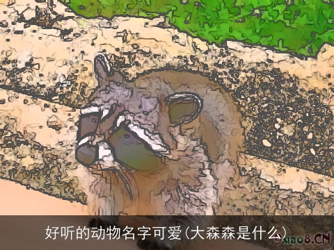 好听的动物名字可爱(大森森是什么)