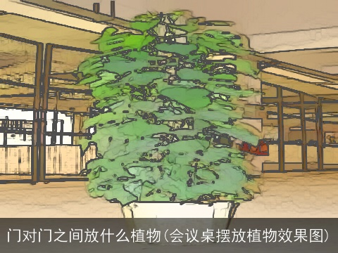 门对门之间放什么植物(会议桌摆放植物效果图)