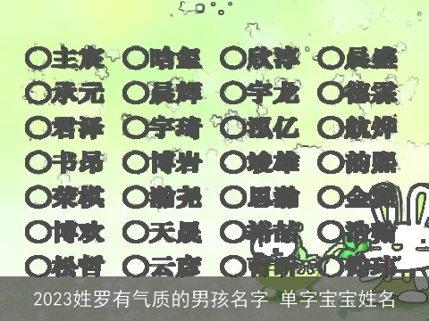 2023姓罗有气质的男孩名字 单字宝宝姓名