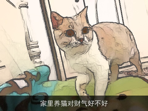 家里养猫对财气好不好