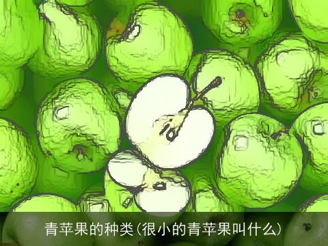 青苹果的种类(很小的青苹果叫什么)