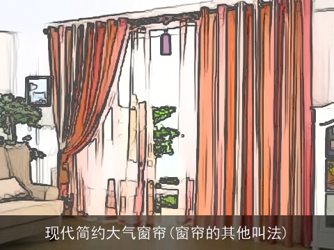 现代简约大气窗帘(窗帘的其他叫法)