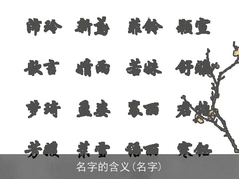 名字的含义(名字)