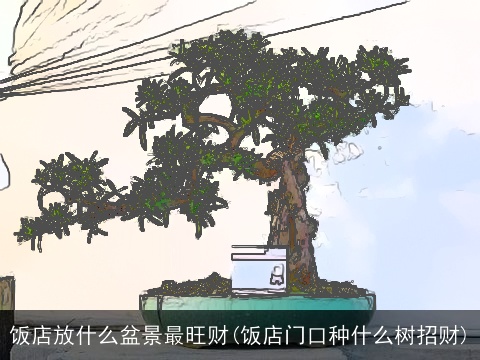饭店放什么盆景最旺财(饭店门口种什么树招财)
