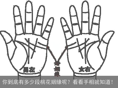 你到底有多少段桃花姻缘呢？看看手相就知道！