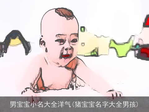 男宝宝小名大全洋气(猪宝宝名字大全男孩)