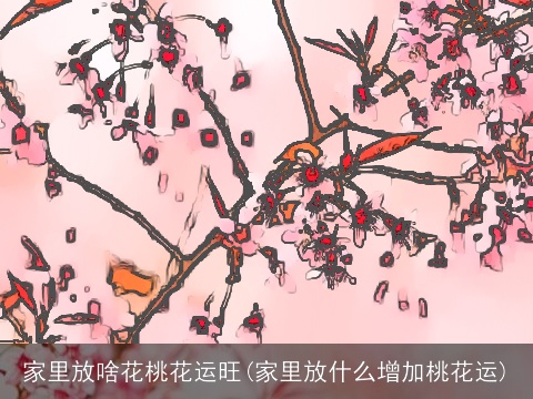 家里放啥花桃花运旺(家里放什么增加桃花运)