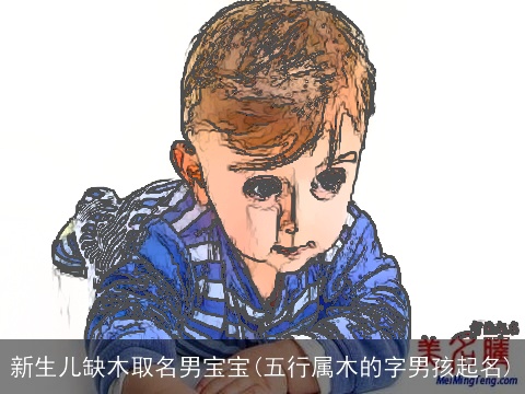 新生儿缺木取名男宝宝(五行属木的字男孩起名)