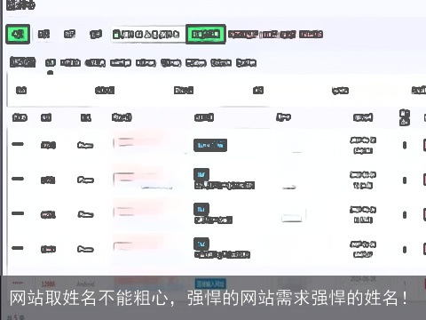 网站取姓名不能粗心，强悍的网站需求强悍的姓名！