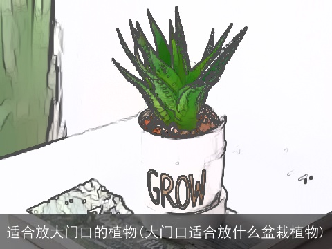 适合放大门口的植物(大门口适合放什么盆栽植物)