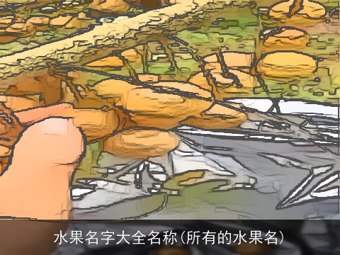 水果名字大全名称(所有的水果名)