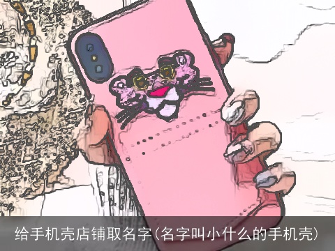 给手机壳店铺取名字(名字叫小什么的手机壳)