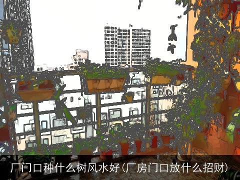 厂门口种什么树风水好(厂房门口放什么招财)