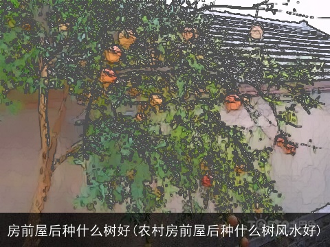 房前屋后种什么树好(农村房前屋后种什么树风水好)