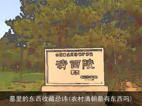 墓里的东西收藏忌讳(农村清朝墓有东西吗)