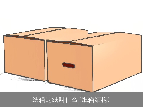 纸箱的纸叫什么(纸箱结构)