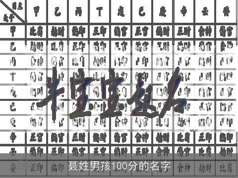 聂姓男孩100分的名字