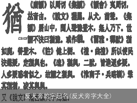 反犬旁的字起名(反犬旁字大全)
