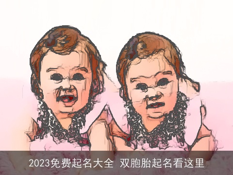 2023免费起名大全 双胞胎起名看这里