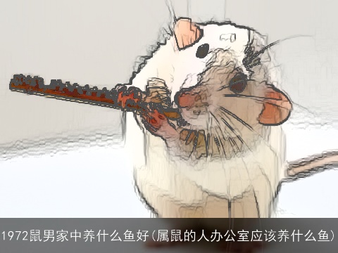 1972鼠男家中养什么鱼好(属鼠的人办公室应该养什么鱼)