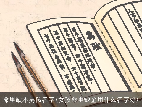 命里缺木男孩名字(女孩命里缺金用什么名字好)