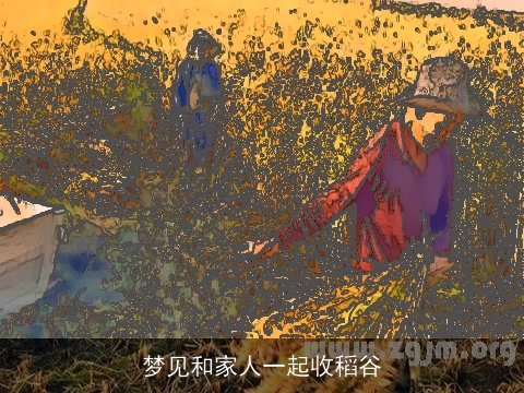 梦见和家人一起收稻谷