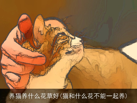养猫养什么花草好(猫和什么花不能一起养)