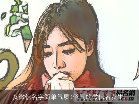 女微信名字简单气质(俗气的微信名女生)