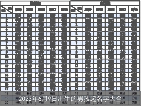 2023年6月9日出生的男孩起名字大全