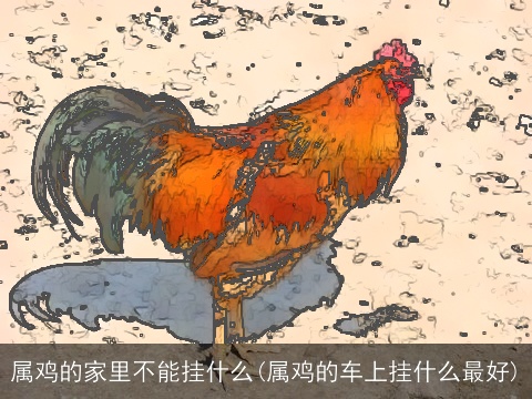 属鸡的家里不能挂什么(属鸡的车上挂什么最好)