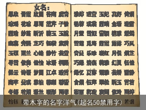带木字的名字洋气(起名50禁用字)