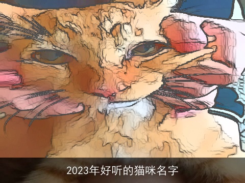 2023年好听的猫咪名字