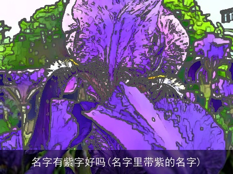 名字有紫字好吗(名字里带紫的名字)