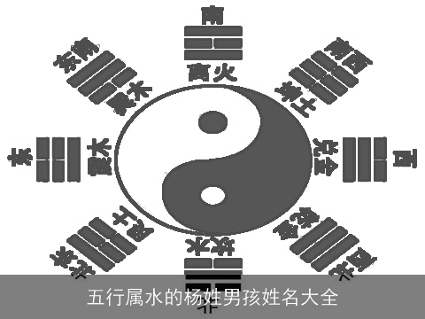 五行属水的杨姓男孩姓名大全
