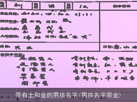 带有土和金的男孩名字(男孩名字带金)