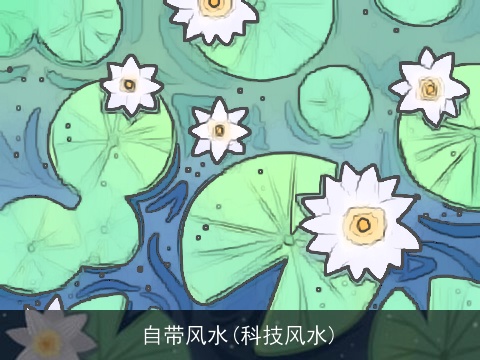 自带风水(科技风水)
