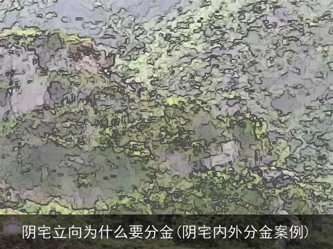 阴宅立向为什么要分金(阴宅内外分金案例)