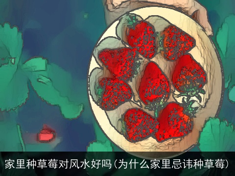家里种草莓对风水好吗(为什么家里忌讳种草莓)