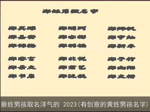 蔡姓男孩取名洋气的 2023(有创意的黄姓男孩名字)