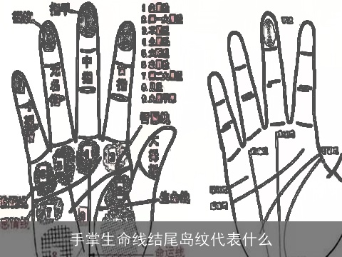 手掌生命线结尾岛纹代表什么