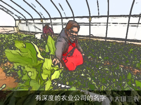 有深度的农业公司的名字