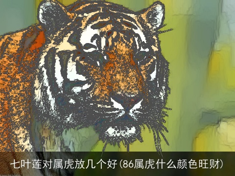 七叶莲对属虎放几个好(86属虎什么颜色旺财)