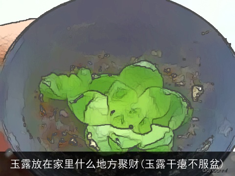 玉露放在家里什么地方聚财(玉露干瘪不服盆)