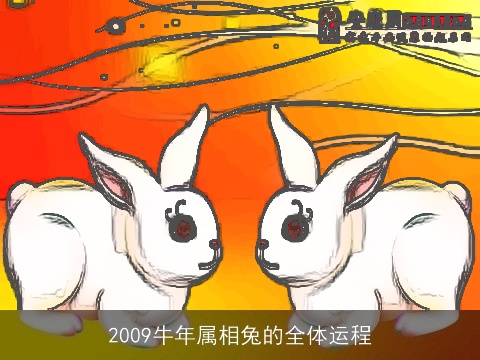 2009牛年属相兔的全体运程