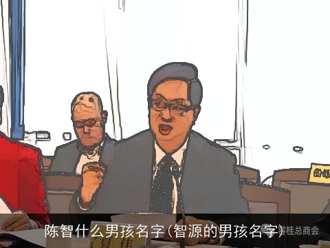 陈智什么男孩名字(智源的男孩名字)