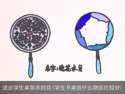 适合学生桌面养的花(学生书桌放什么物品比较好)
