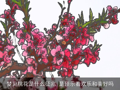 梦见桃花是什么征兆 是预示着欢乐和美好吗