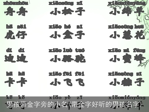 男孩带金字旁的小名(带金字好听的男孩名字)