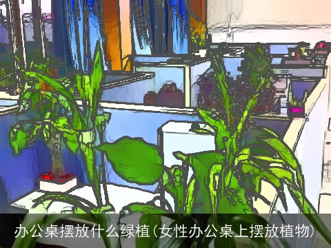 办公桌摆放什么绿植(女性办公桌上摆放植物)